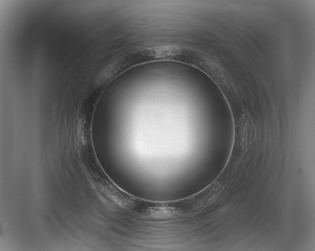 X0000084030316200702161441