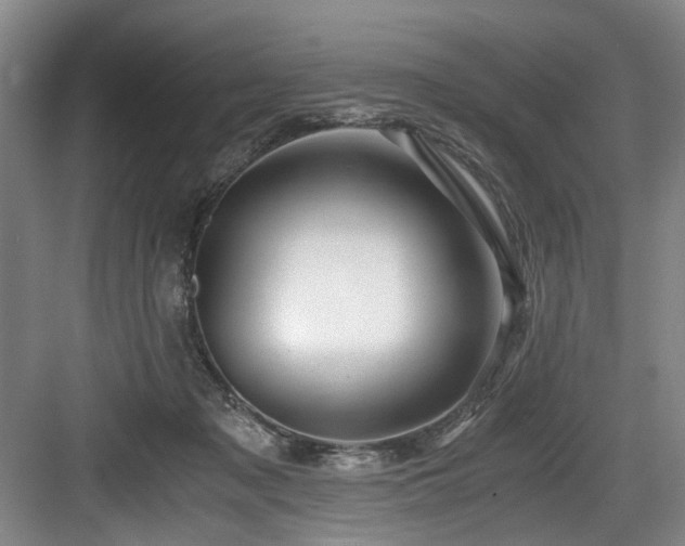 X0000084030317200702161441