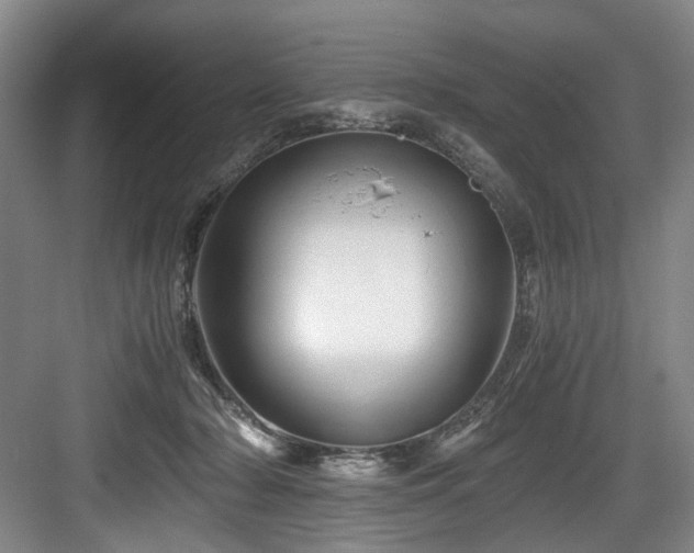 X0000084030318200702161441