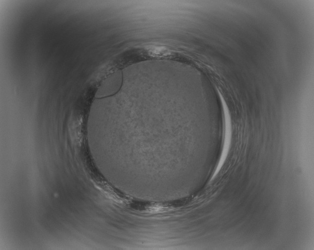 X0000084030319200702161441