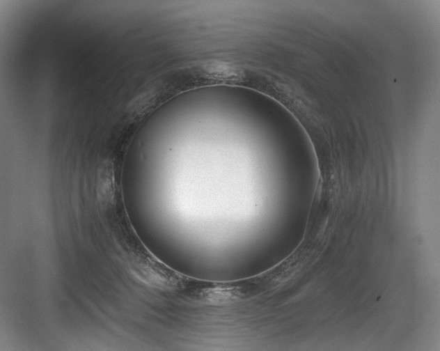 X0000084030320200702161441