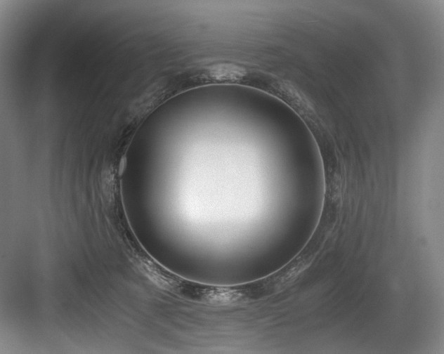 X0000084030321200702161441