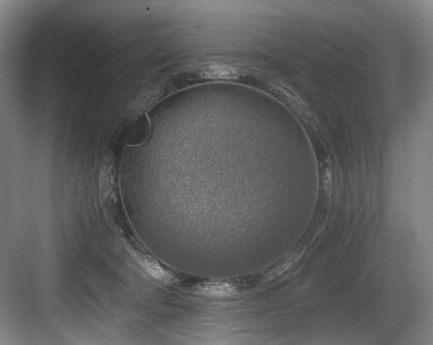 X0000084030322200702161441