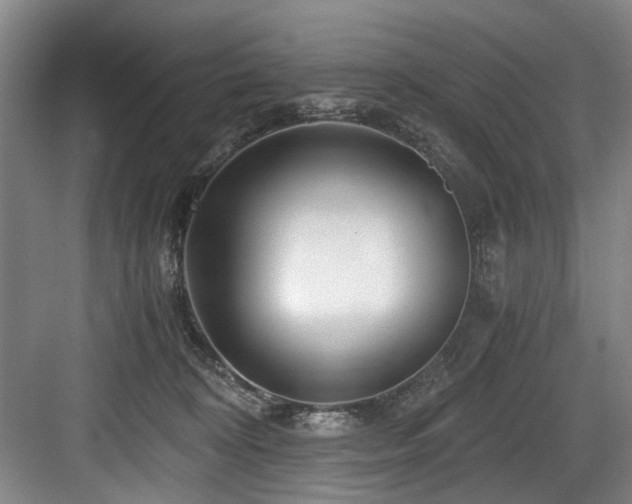 X0000084030324200702161441