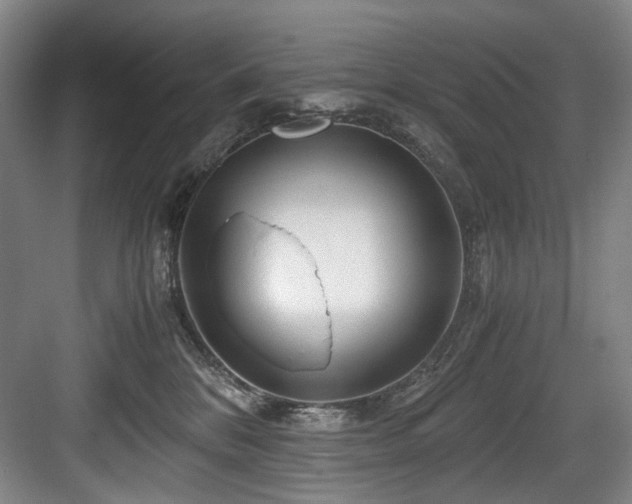 X0000084030328200702161441