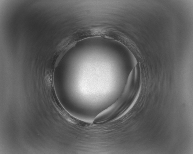 X0000084030329200702161441