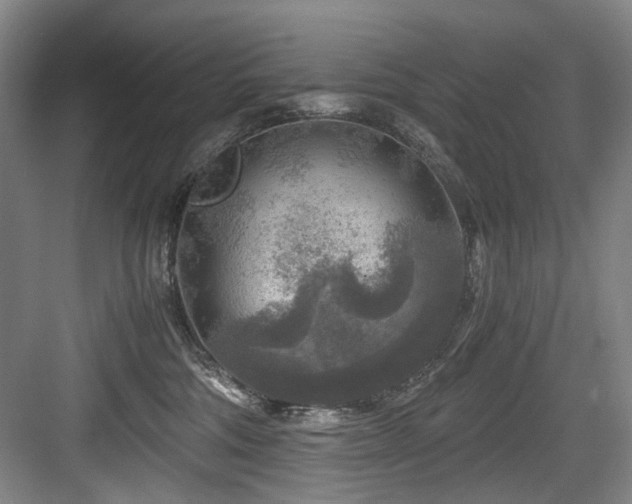 X0000084030330200702161441