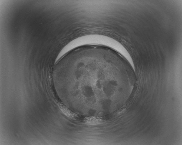 X0000084030331200702161441