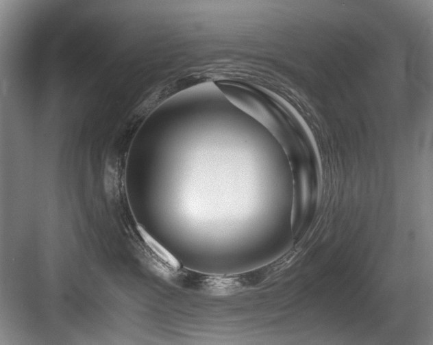 X0000084030333200702161441