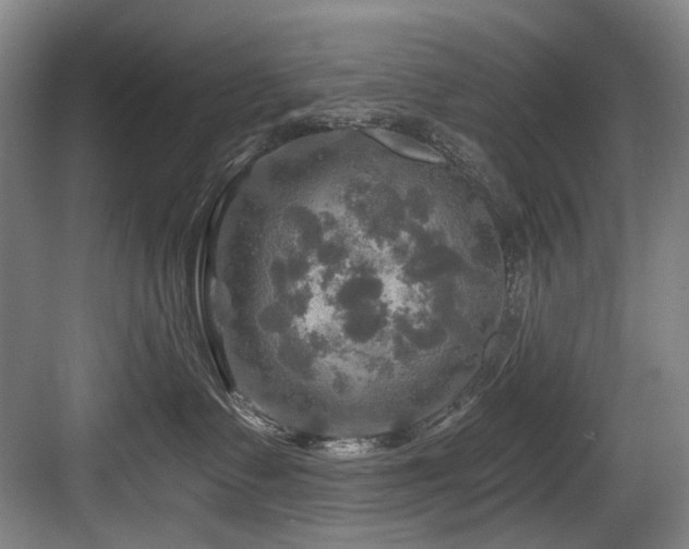 X0000084030335200702161441