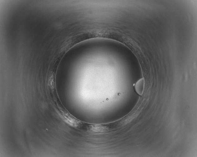 X0000084030336200702161441