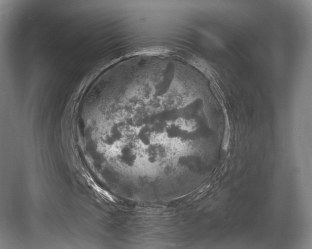 X0000084030337200702161440