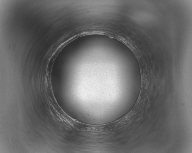 X0000084030338200702161440