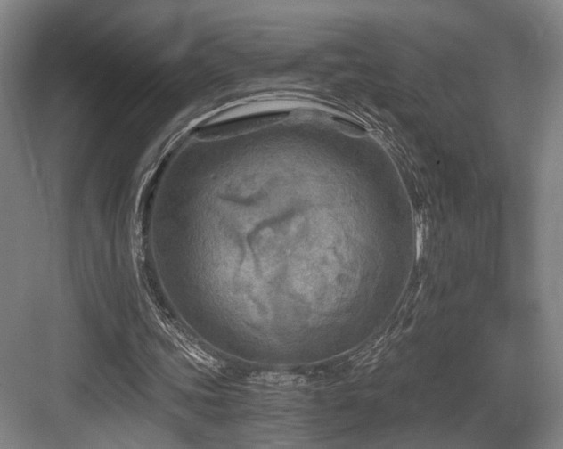 X0000084030339200702161440