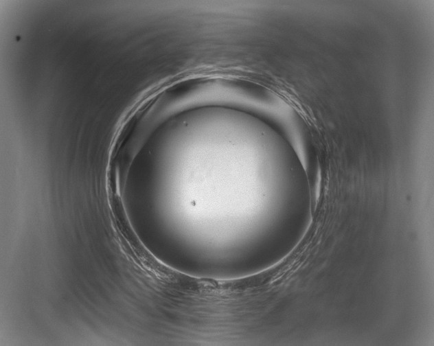 X0000084030340200702161440