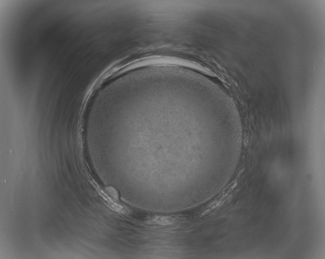 X0000084030341200702161440