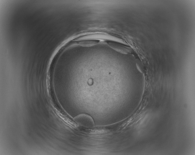 X0000084030342200702161440