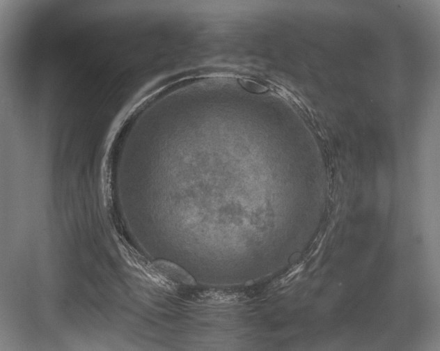 X0000084030343200702161440