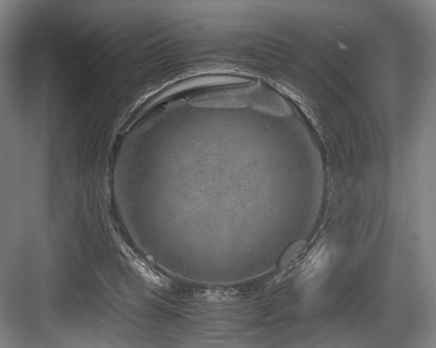 X0000084030345200702161440