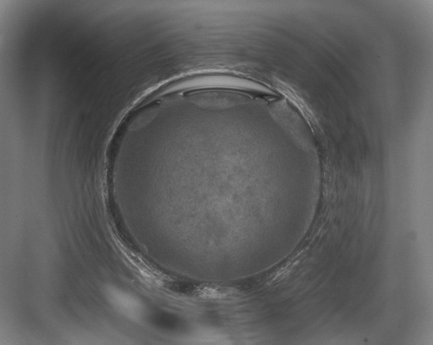 X0000084030346200702161440