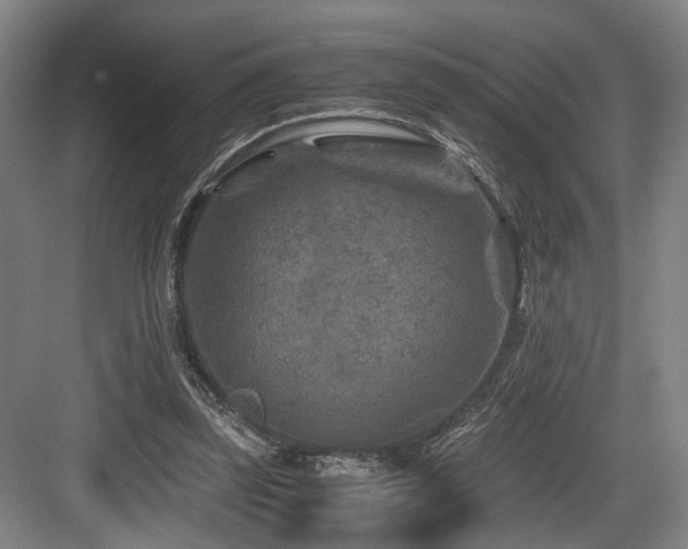 X0000084030347200702161440