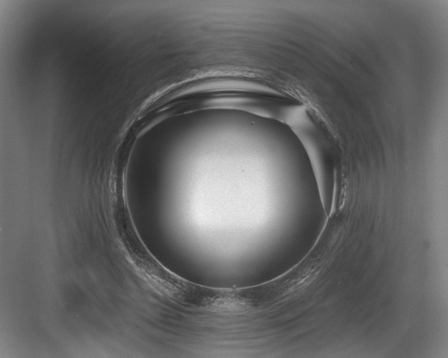 X0000084030348200702161440