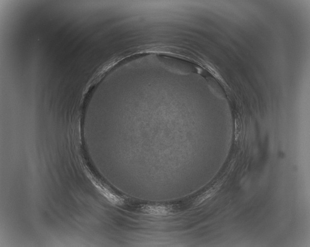 X0000084030349200702161440