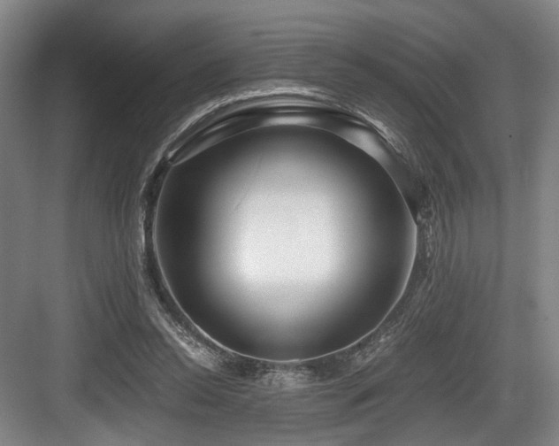 X0000084030350200702161440