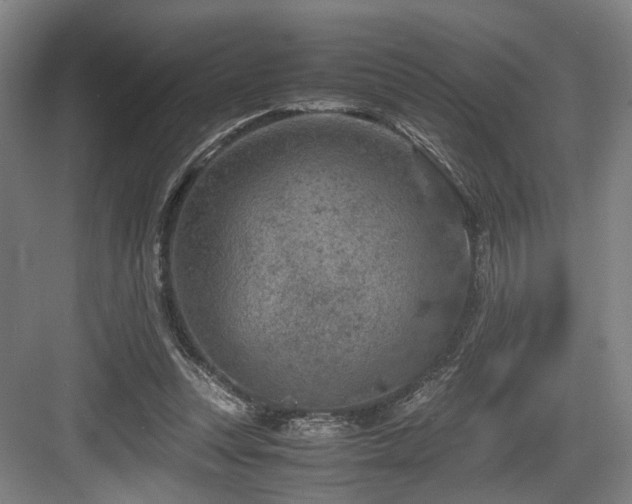 X0000084030351200702161440