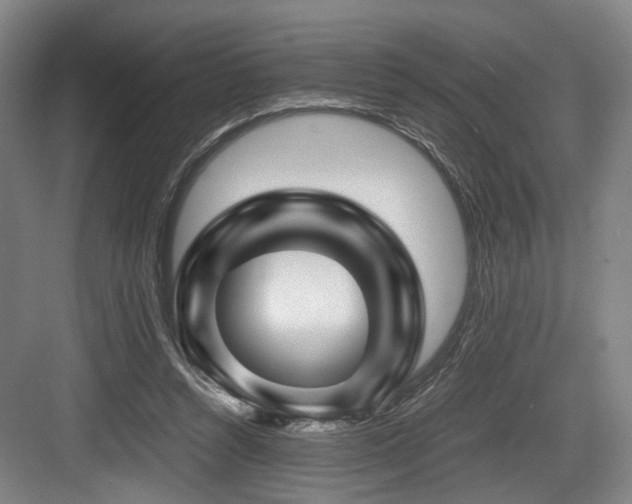 X0000084030352200702161440