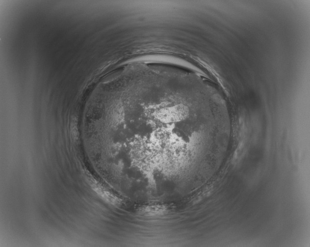 X0000084030353200702161440