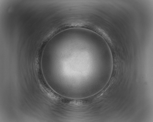 X0000084030354200702161440