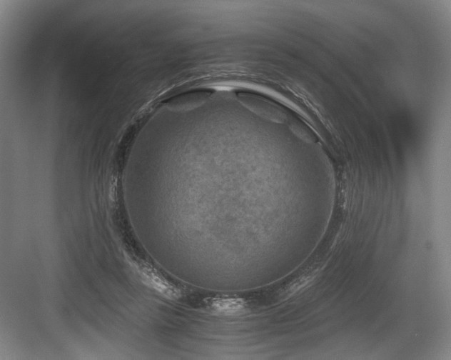 X0000084030355200702161440