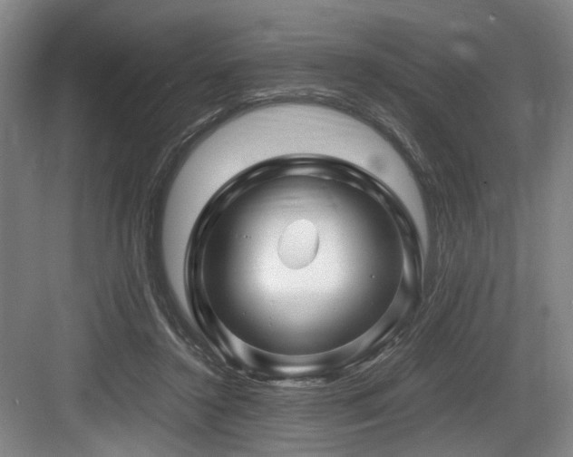 X0000084030356200702161440