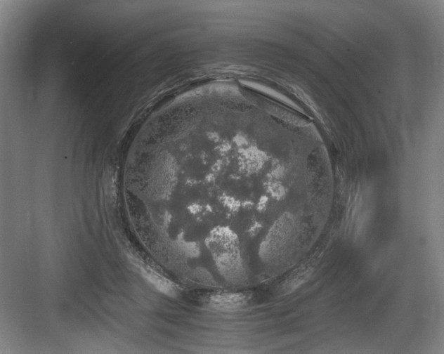 X0000084030357200702161440