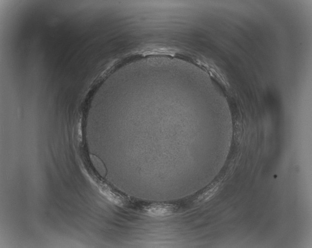 X0000084030358200702161440