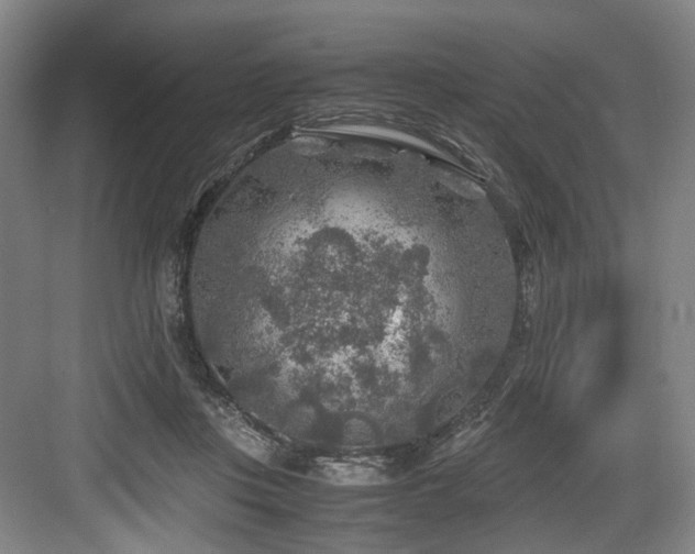 X0000084030359200702161440