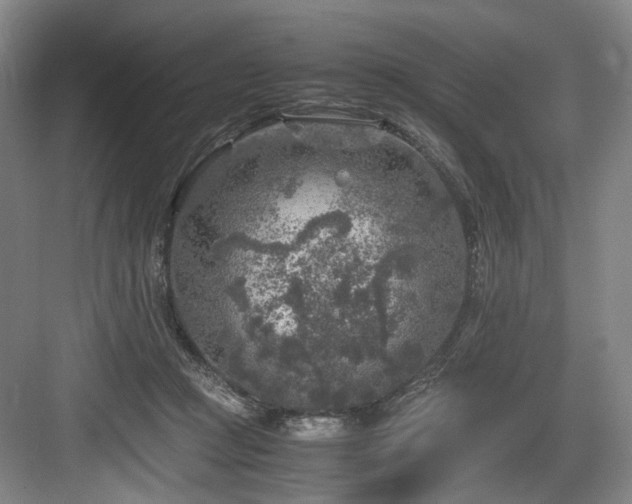 X0000084030361200702161440