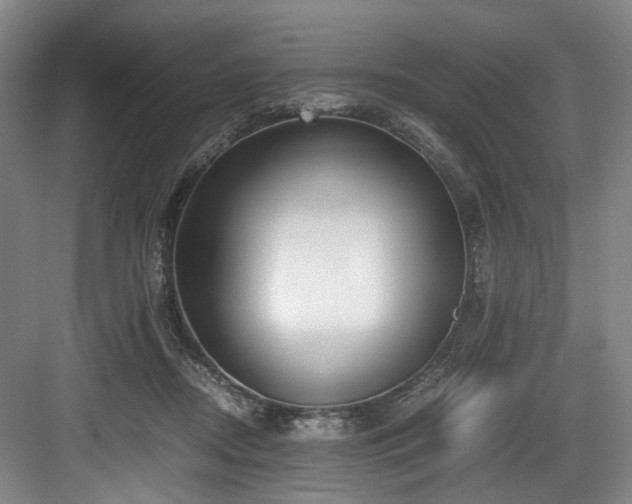 X0000084030362200702161440