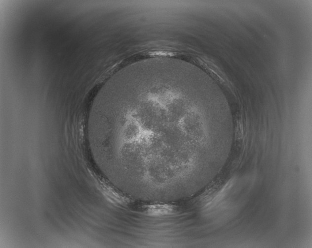 X0000084030363200702161440