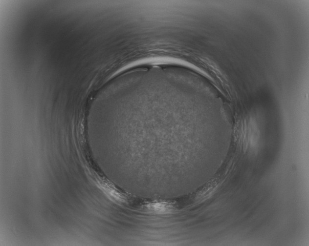 X0000084030365200702161440