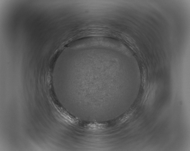 X0000084030367200702161441