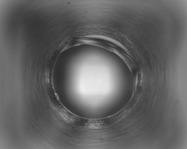 X0000084030368200702161441