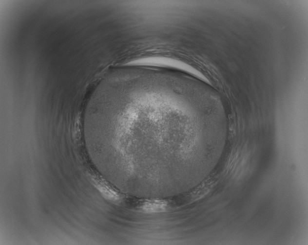 X0000084030369200702161441