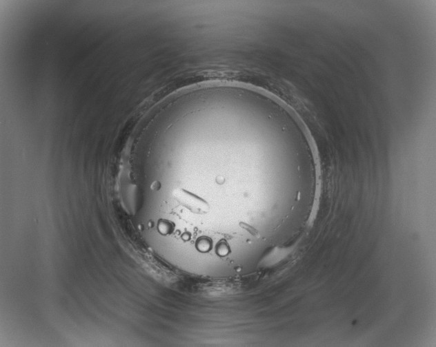 X0000084030370200702161441