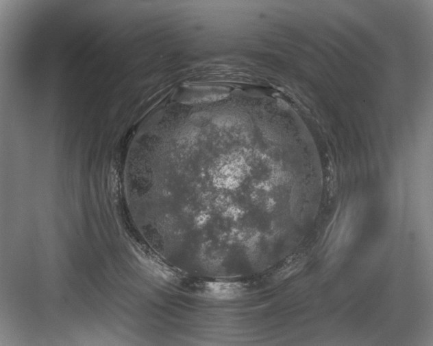 X0000084030371200702161441