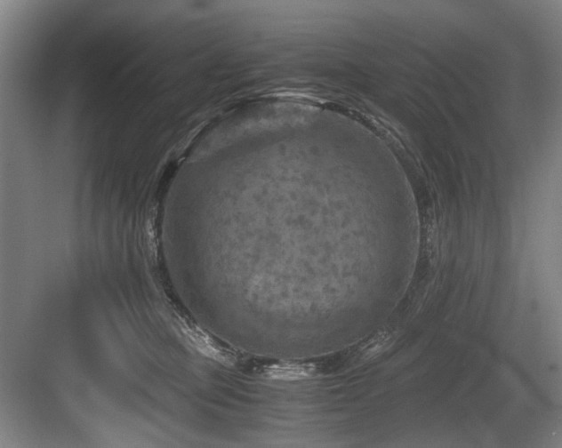 X0000084030373200702161441