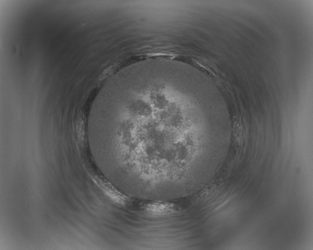 X0000084030375200702161441