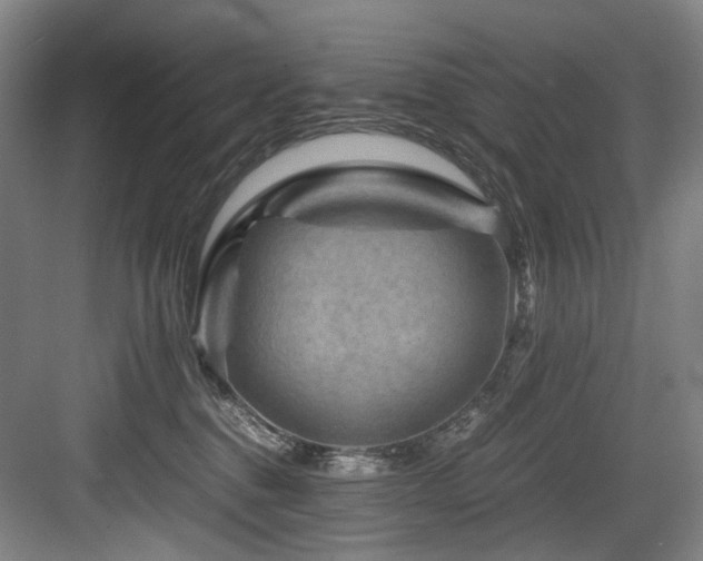 X0000084030376200702161441