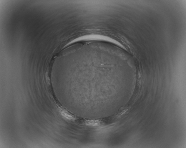 X0000084030377200702161441